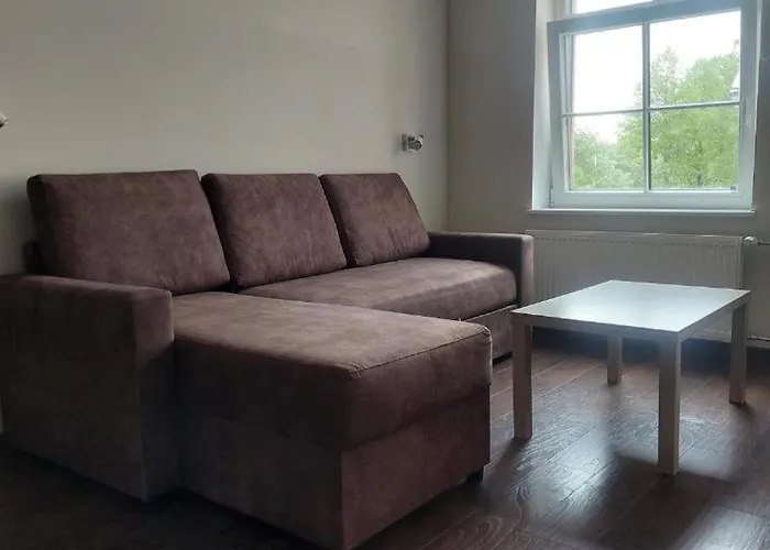 Near Noblessner 公寓 *